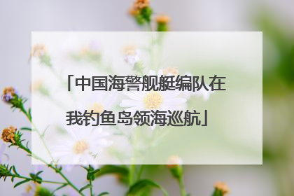 中国海警舰艇编队在我钓鱼岛领海巡航